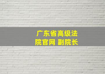 广东省高级法院官网 副院长